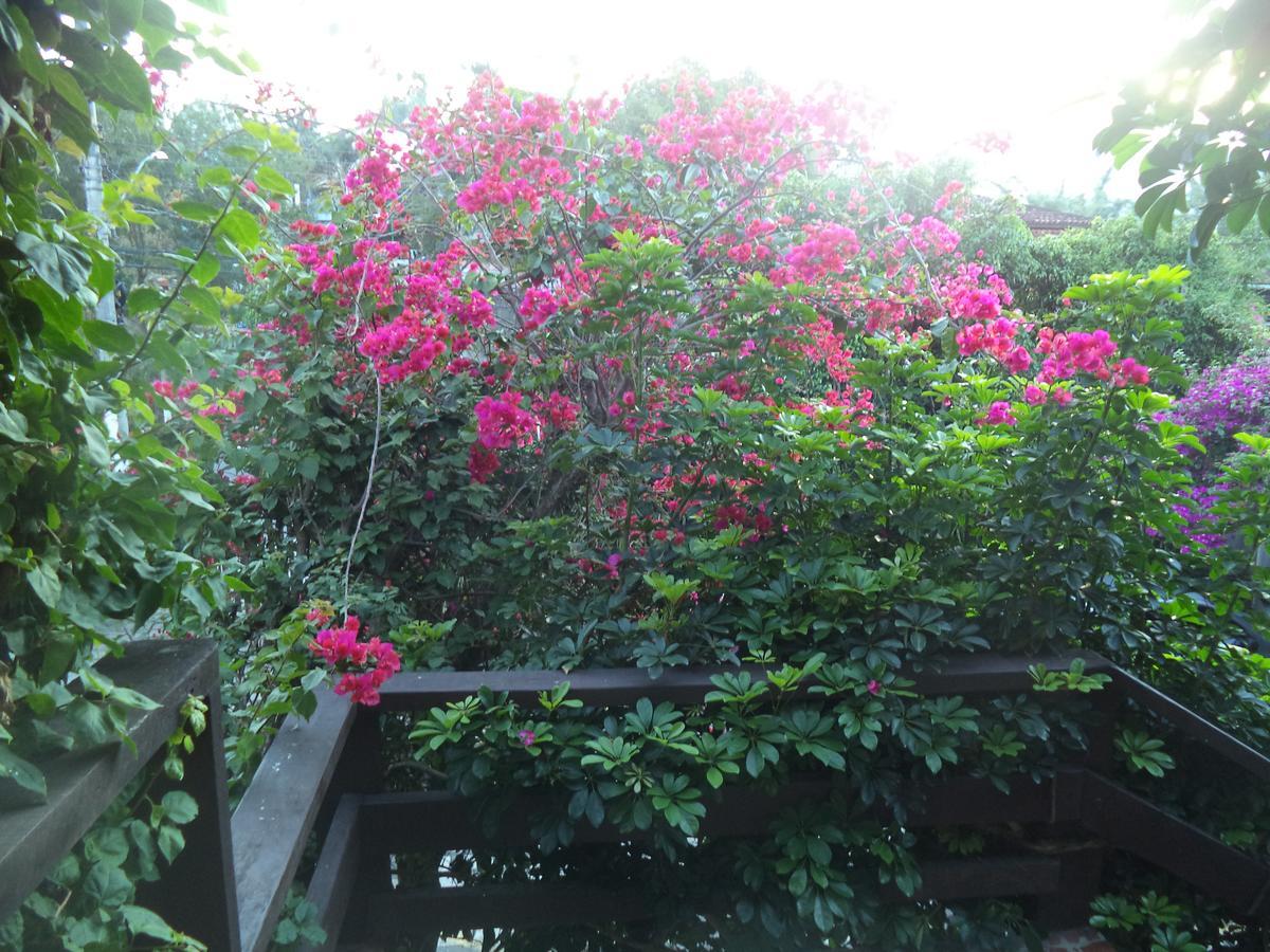 Chales Xibayka Ilhabela Exterior foto